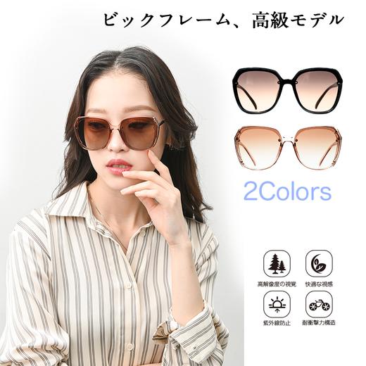 新品【KAWATANI】川谷EDR系列UV防晒太阳镜超轻折叠大框复古潮流墨镜 商品图0