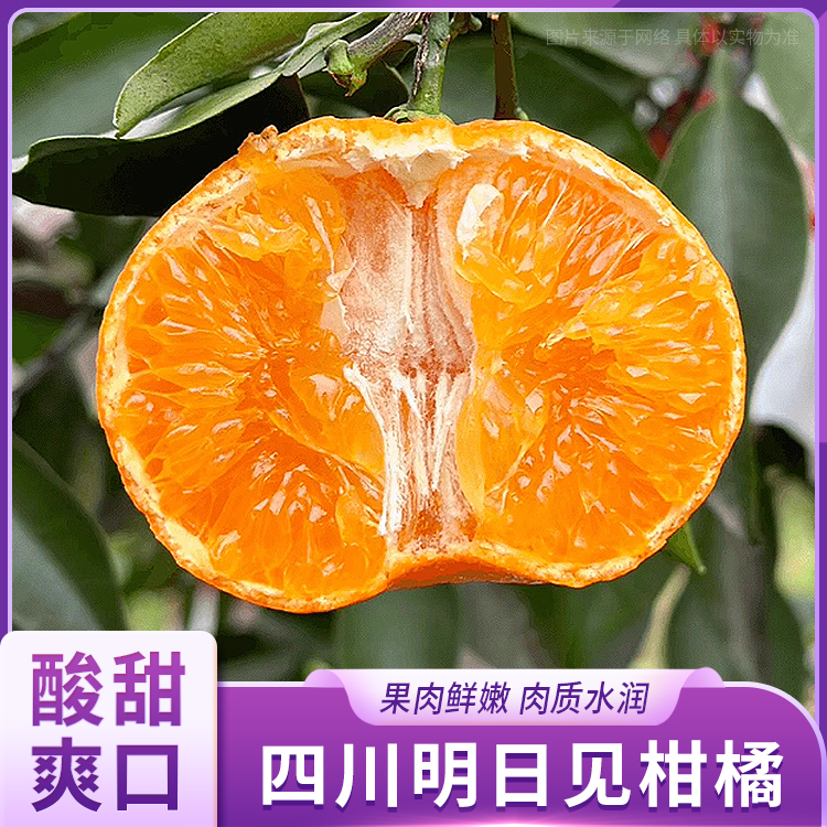 四川·明日见柑橘