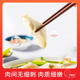 钓鱼记开背白蕉海鲈鱼1斤-1.3斤 三去净重 冷冻 生鲜 鱼类 海鲜水产