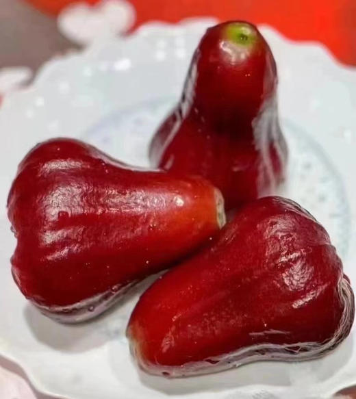 海南空运 黑金刚莲雾 商品图1