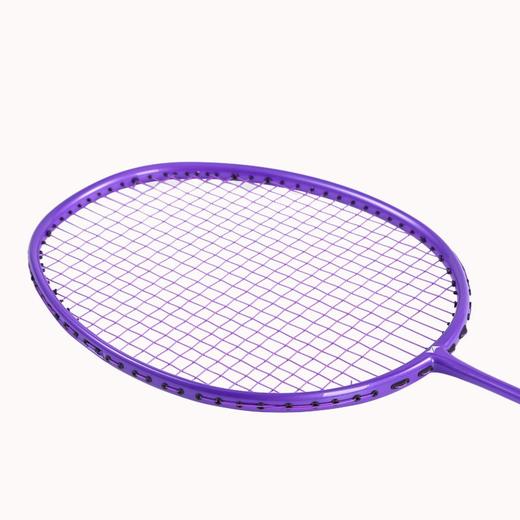 何大屋（Hodtown）羽毛球拍  紫金之巅羽毛球拍（单拍）HDW1316 商品图3