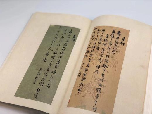 《李慈铭致潘祖荫信札》，谷卿 冯松 整理，毛边本，16开精装带护封，248页，全彩精印，内有四张贴纸，中国书店2020年10月初版，仅印1200册。毛边本248元。 商品图6