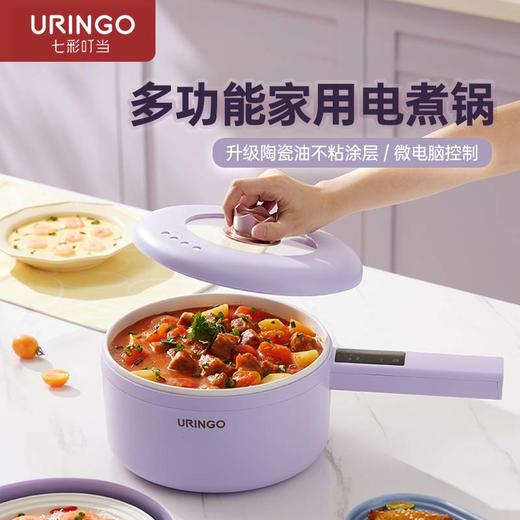 七彩叮当电煮锅3L多功能一体火锅SD04/SD04Z 商品图0