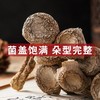 巴山谜鹿茸菌  商品缩略图6