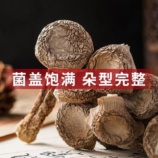 巴山谜鹿茸菌  商品图6