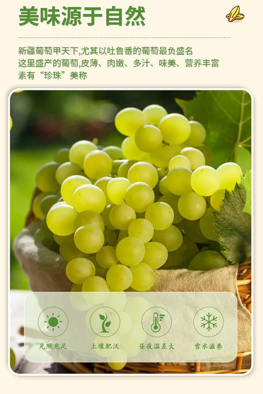 【新疆酸奶味葡萄干】🔥 拍一发五❗️ 💰29.9元🉐 5袋🍇 补钙补铁必备小零食😋 🔸精选新疆葡萄干🍇 ，酸奶+葡萄干混合，酸甜软糯，不含香精 商品图2