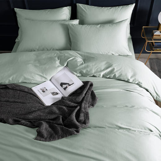 安巢家居  长绒棉床单四件套 简约  AW10241 灰绿 商品图4