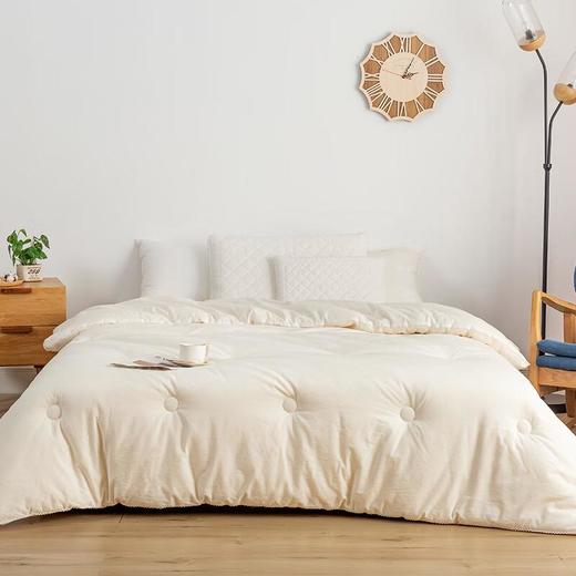 安竹堂抗菌水洗棉被芯1000g 200*230cm 商品图1