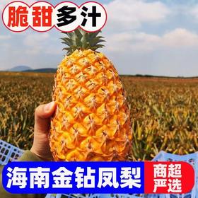 【新鲜应季！海南金钻凤梨】果肉丰厚 汁水充盈 酸甜可口 菠萝每颗香甜多汁 令人回味无穷