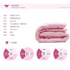 安巢家居  被子  羽丝绒被  AW10701 商品缩略图2