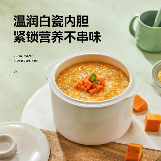 【带蒸片】浦利顿电炖盅隔水炖小武松炖盅PLD-XDZ1005T 商品图5