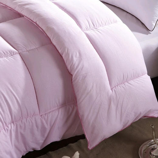 安巢家居  被子  羽丝绒被  AW10701 商品图4