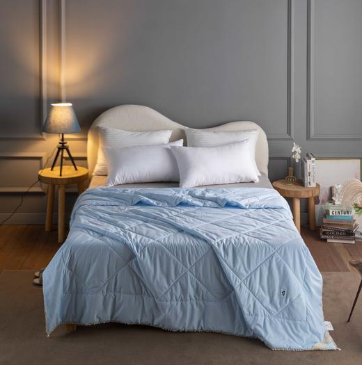 【远梦】绵柔水洗夏凉被 商品图2