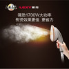LEXY莱克挂烫机家用电熨斗双杆大蒸汽高温杀菌手持挂式两用手持杀菌熨烫板  GT307 商品缩略图2