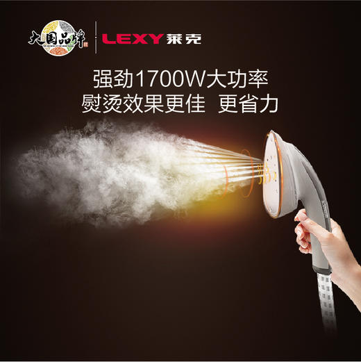 LEXY莱克挂烫机家用电熨斗双杆大蒸汽高温杀菌手持挂式两用手持杀菌熨烫板  GT307 商品图2