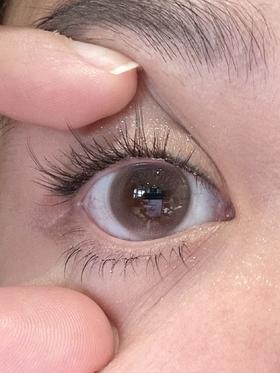 loveiikira半年抛美瞳 奶昔棕 14.2mm