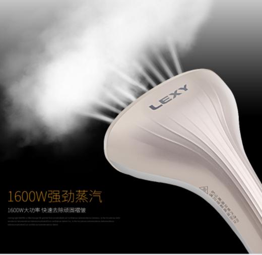 莱克（LEXY）莱克挂烫机家用蒸汽电熨斗服装店商用大功率熨烫熨衣服  GT306 商品图2