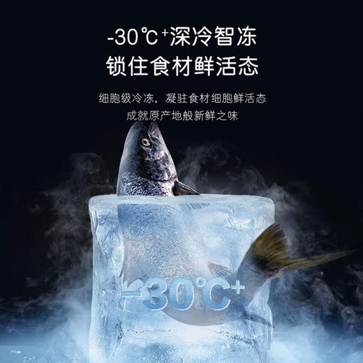 卡萨帝（Casarte）冰箱 520L零距离嵌入多门家用电冰箱 大容量 一级能效 前置散热 自动制冰 BCD-520WLCFPM4WKU1 商品图4