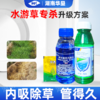 水游草专杀方案高效氟吡甲禾灵稻李氏禾草甘膦游草芦苇茅草除草剂 商品缩略图3