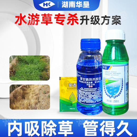 水游草专杀方案高效氟吡甲禾灵稻李氏禾草甘膦游草芦苇茅草除草剂 商品图3