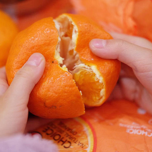 四川·明日见柑橘 商品图2