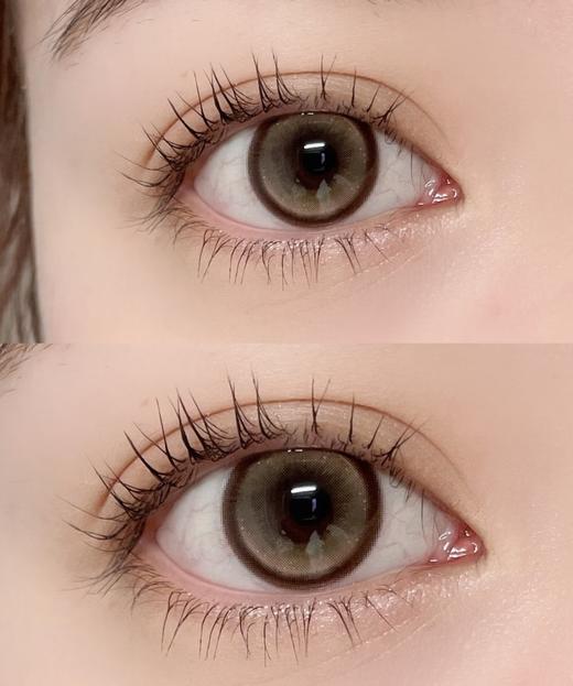 Woolilens 国王与乞丐 日抛 十片 14.2mm 参考着色13.3mm 基弧8.5 含水50% 新锐国货 商品图1