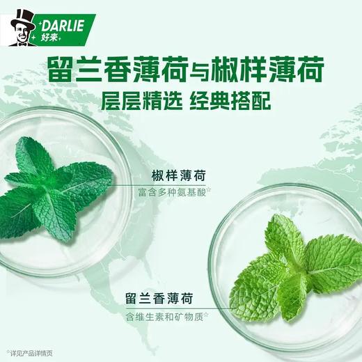 黑人双重薄荷牙膏90g 商品图3