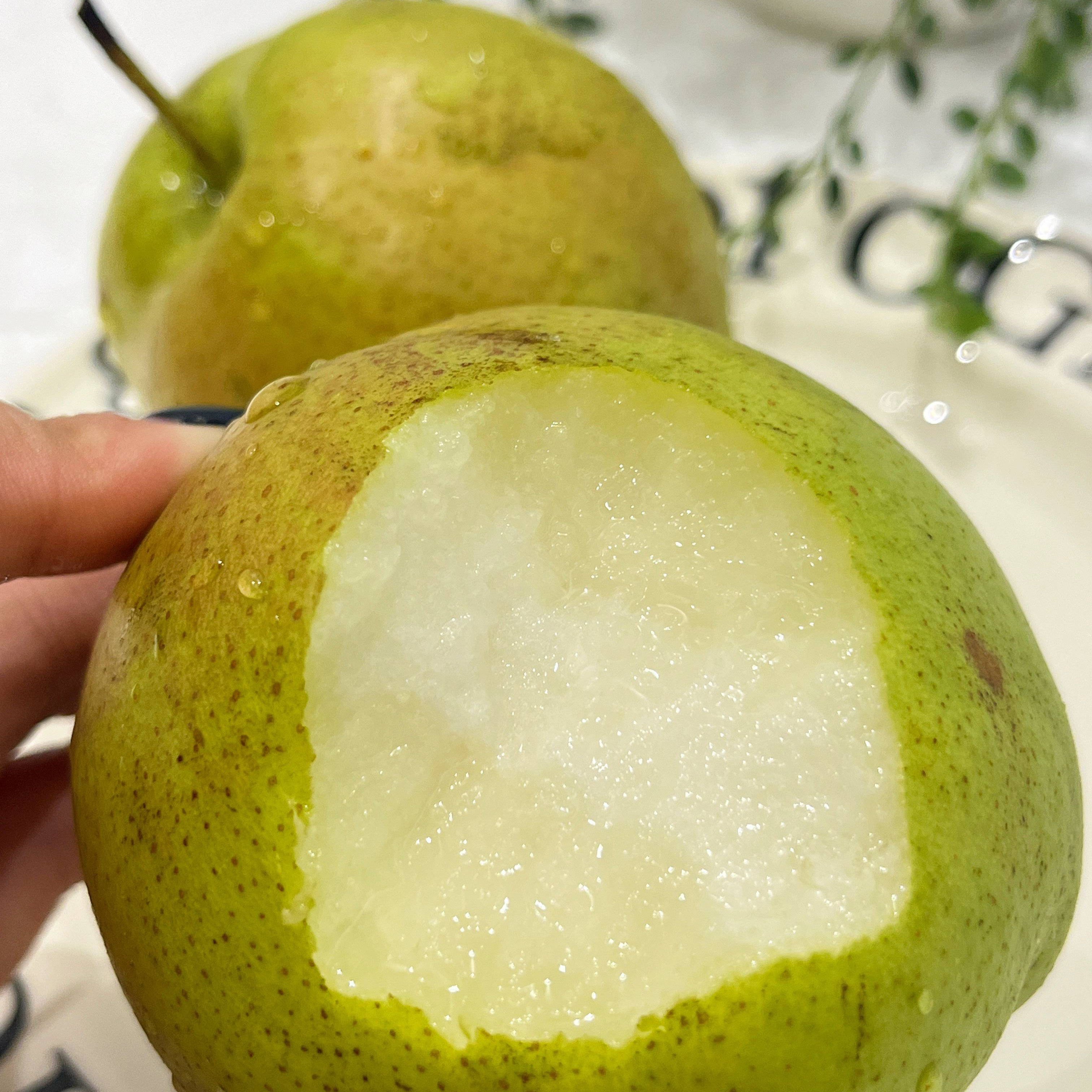 【清肺润燥】山西玉露香梨