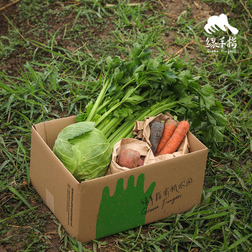 生态丰产蔬菜箱(一件包邮）| 绿家自产*ecological eafy vegetables | Self-production 商品图4