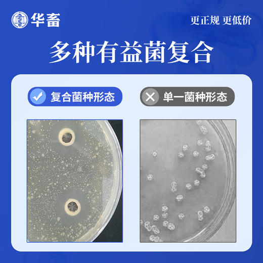 华畜水产em菌 可自行验证的好菌  菌群丰富活力强 商品图1