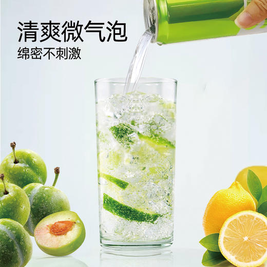 泰国 梅子&柠檬&柚子味气泡水330ml 商品图3