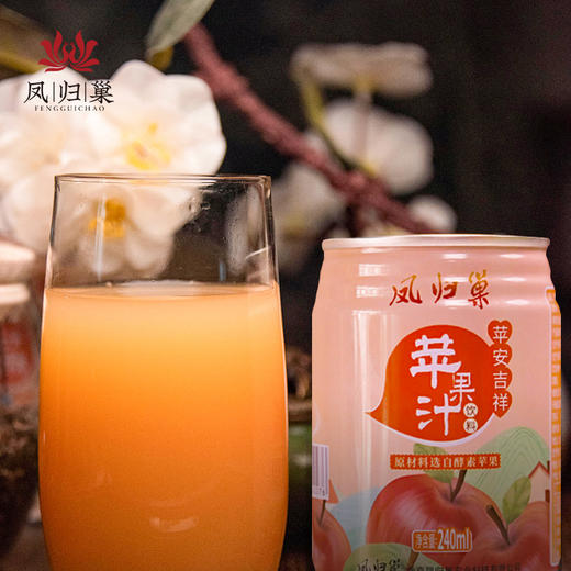 【包装升级】凤归巢 苹安吉祥 苹果汁饮料 果蔬汁饮料  240ml*6罐 商品图3