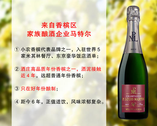 【现货促销，配额12瓶】香槟世纪年份WE97分：路易马丁干型年份旗舰香槟（2018年） 商品图0