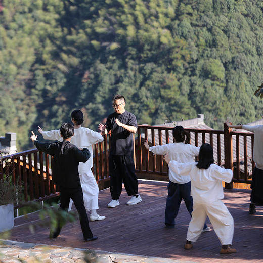 EX-109 舞动太极 金瓯 商品图3