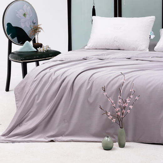 多喜爱 传奇丝路水洗蚕丝夏被（蜀葵粉/雾山灰）cs 商品图2