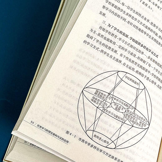 优势学习的理论建构与实践应用 董君武 方秀红 市西中学 教学深度变革 商品图13