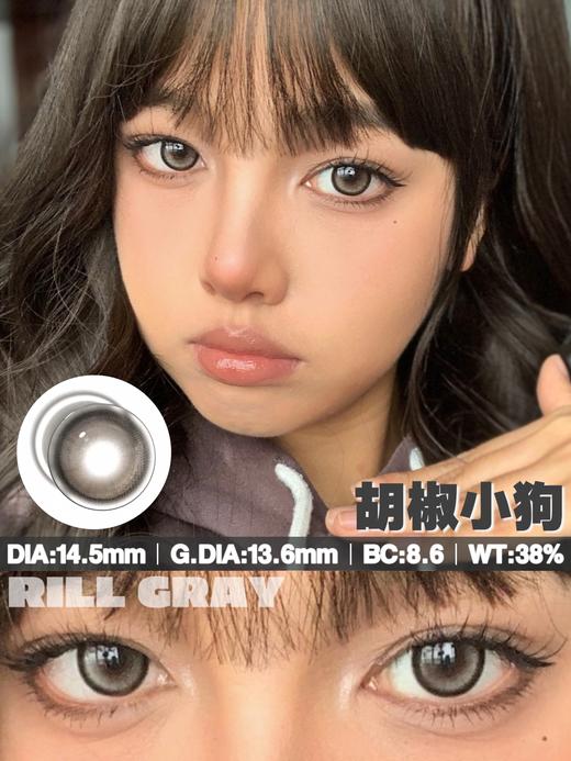 blinker 美瞳年抛 胡椒小狗  直径14.5mm着色13.6mm 商品图7