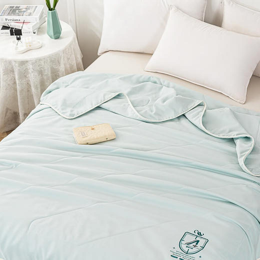 多喜爱（Dohia）A类超柔抗菌夏被-贝尔斯 商品图2