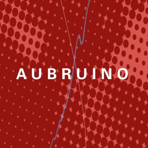 AUBRUINO AW2024秀票（21:30-22:00） 商品图0