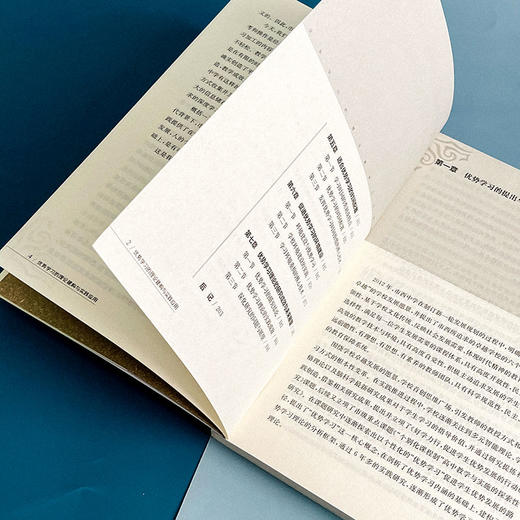 优势学习的理论建构与实践应用 董君武 方秀红 市西中学 教学深度变革 商品图7