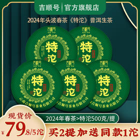 2024春茶-景迈山春茶《特沱》生茶沱茶100克*5沱 买2提送1沱