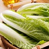 新鲜蔬菜系列  奶白菜500g 商品缩略图4