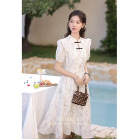 鹿向南《点春枝》新中式印花连衣裙L35265