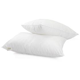 安巢家居  枕头  五星假日羽丝枕单支装AW10221