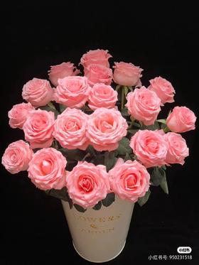 戴安娜玫瑰10支