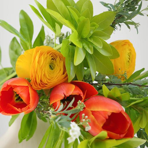 【春日心事 Spring Diary】雨后龙井 Rain Tea 商品图1