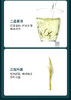 卢正浩明前一级碧螺春绿茶茶叶纸包150克绿茶茶叶 商品缩略图4