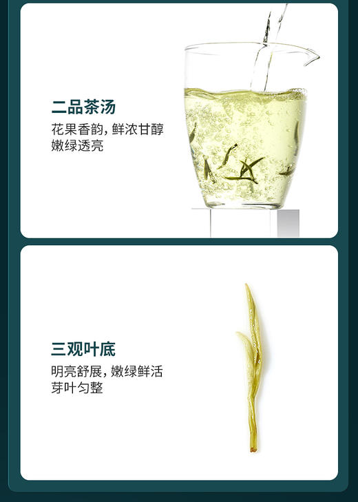 卢正浩明前一级碧螺春绿茶茶叶纸包150克绿茶茶叶 商品图4