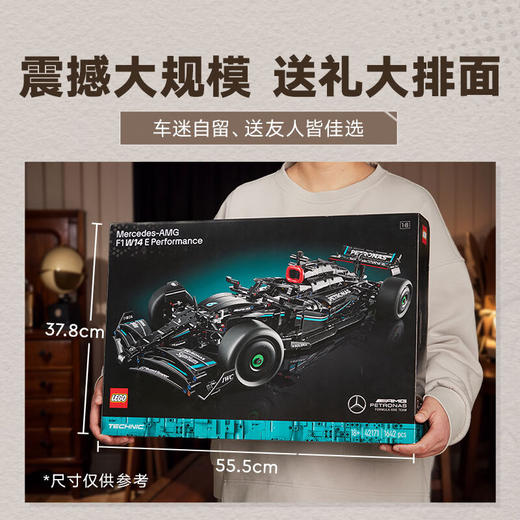 乐高积木L42171乐高机械组系列 Mercedes-AMG F1 W14 E Performance 赛车 商品图1