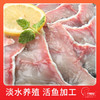 钓鱼记免浆黑鱼片1斤 (2袋*250g) 酸菜生鱼片冷冻火锅食材 生鲜 商品缩略图2